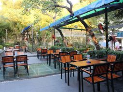 Hiện nay, mái hiên nhà hàng ngày càng được sử dụng nhiều