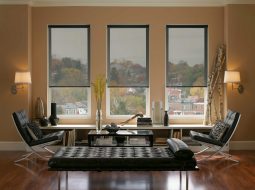 Màn sáo lưới được nhiều quán café, nhà hàng sử dụng